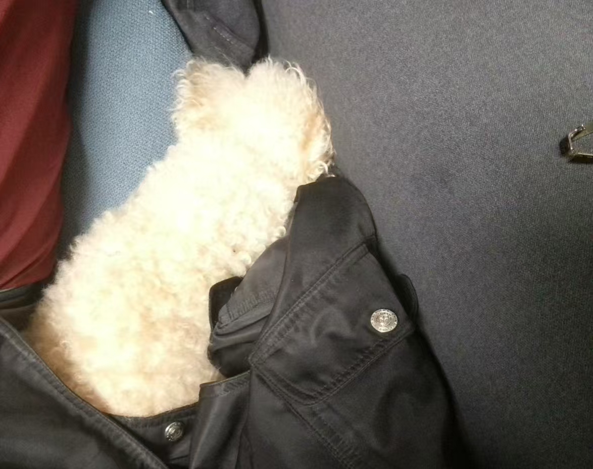 第一篇日记｜开心果上线啦 🌸