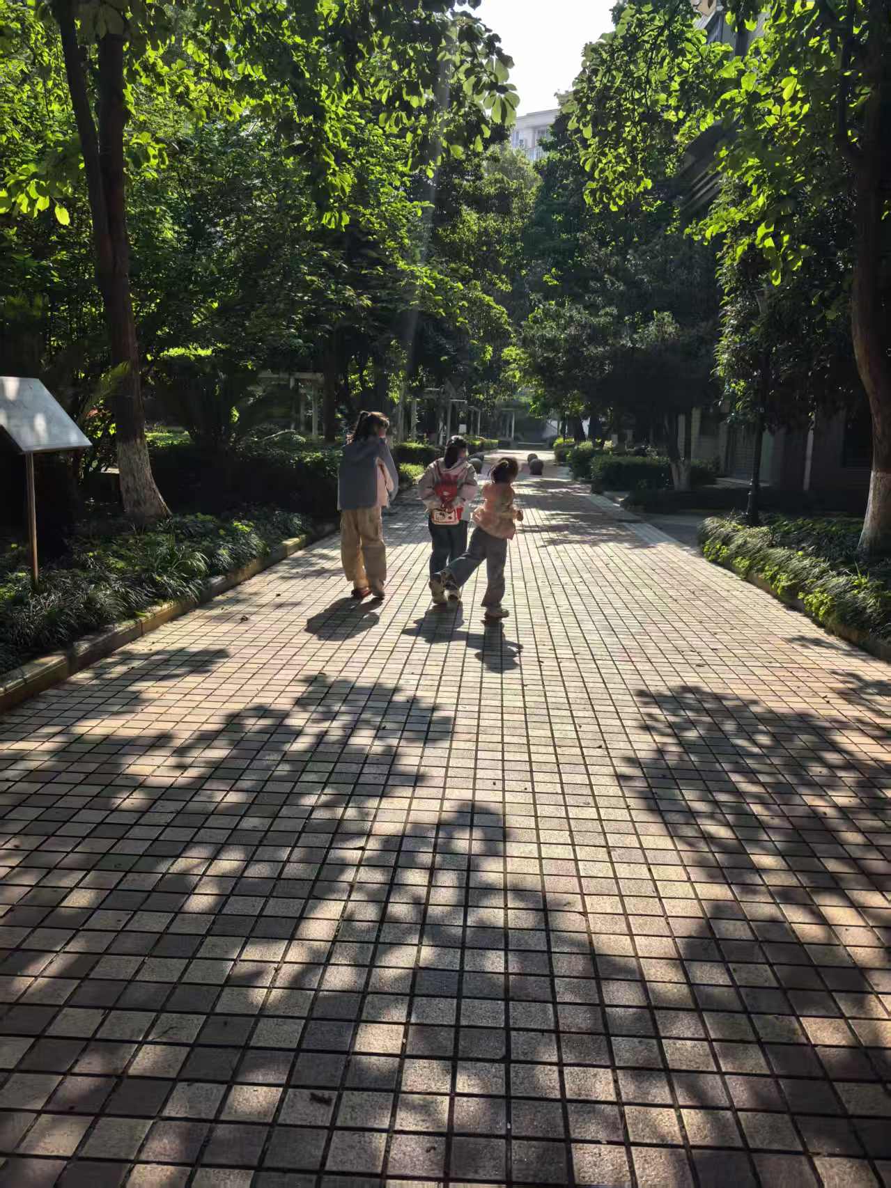 阳光下散步的背影