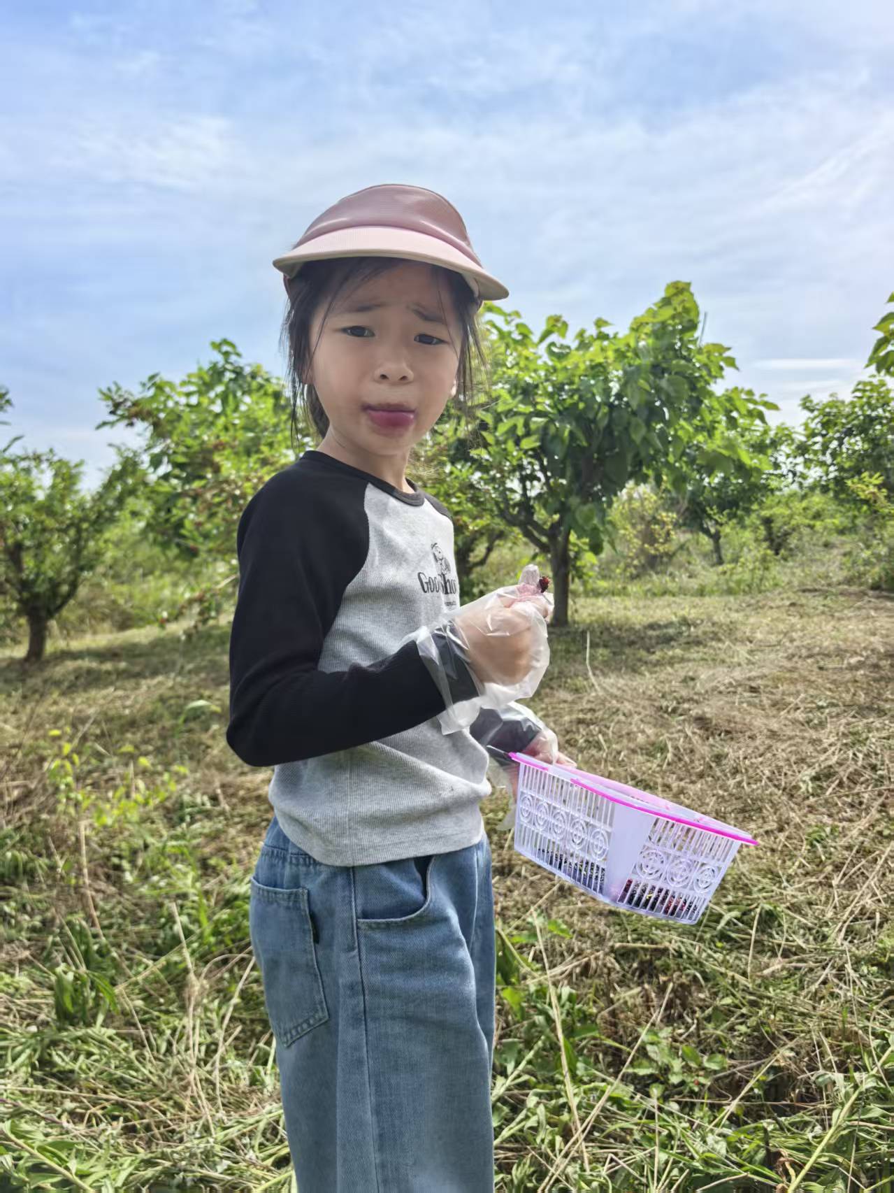 江夏桑葚采摘 17