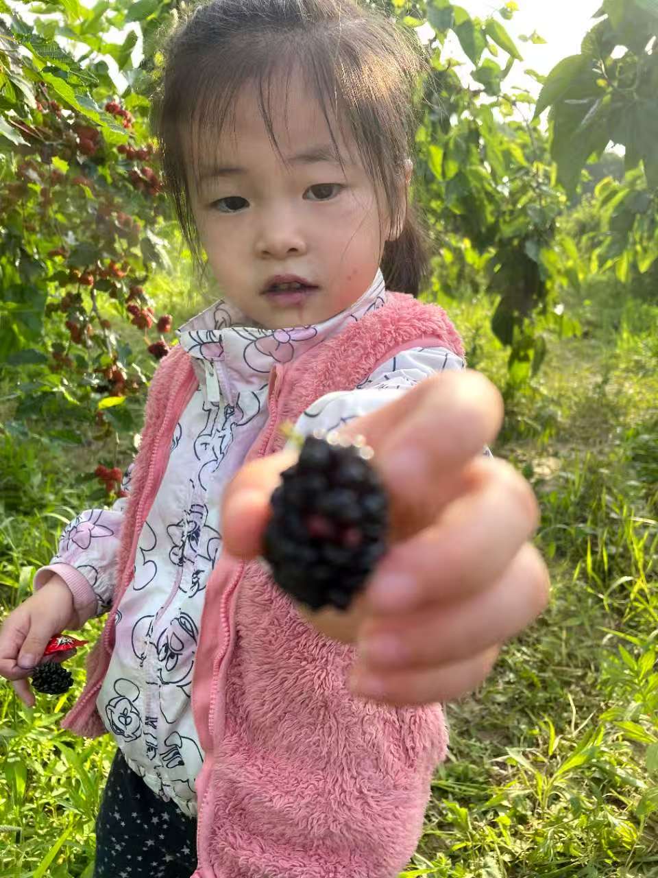 小可爱2